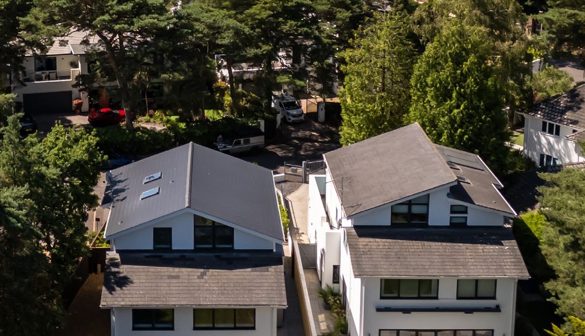 Pine canopy and rooftops on the slopes of Evening Hill
